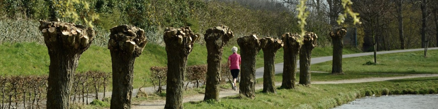 Omgevingsprogramma-groen-water